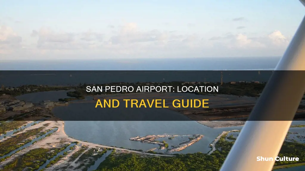 where is san pedro airport in belize