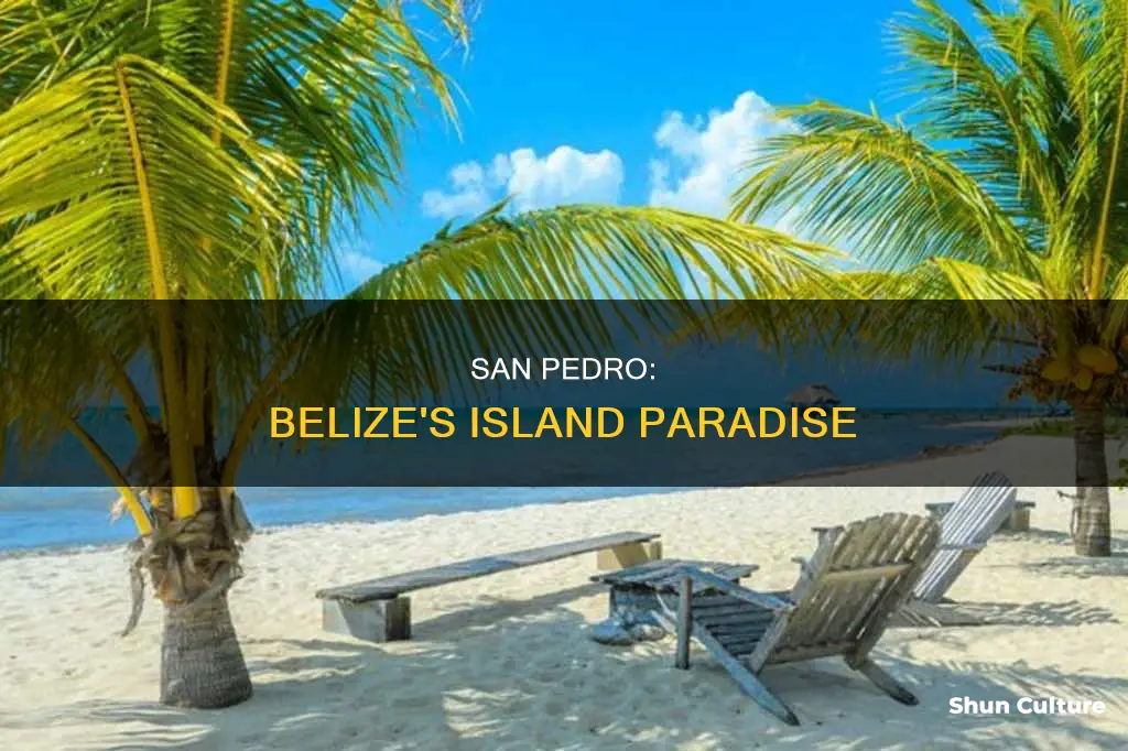 where is san pedro ambergris caye belize