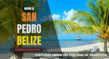 San Pedro, Belize: A Tropical Paradise Explored