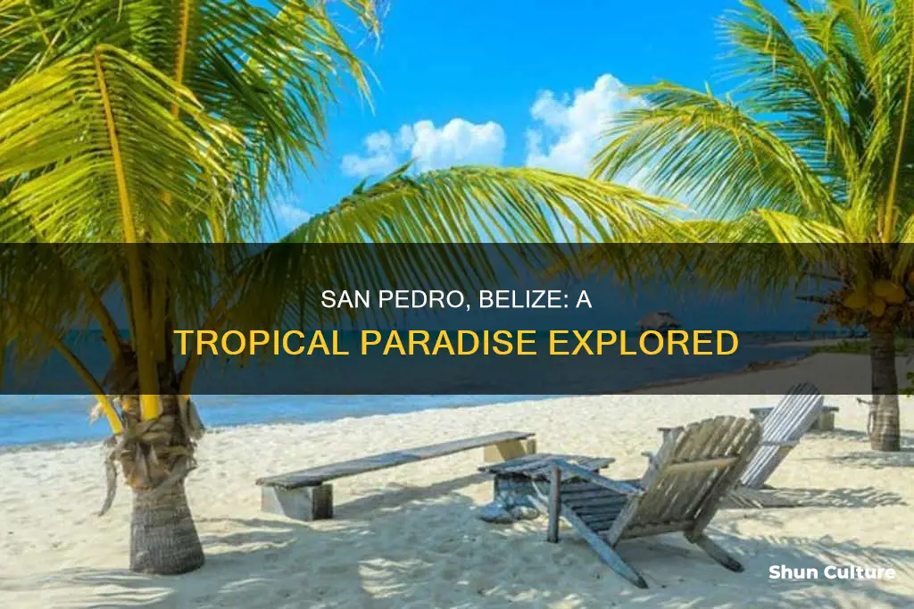 where is san pedro belize