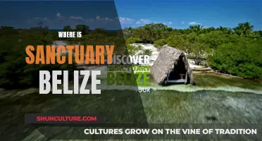 Belize's Sanctuary: A Tropical Paradise