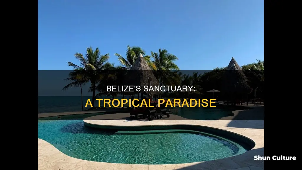 where is sanctuary belize