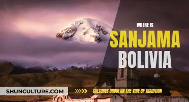 Exploring Bolivia's San Juan: A Cultural Journey