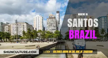 Discovering Santos, Brazil: Location, Beaches, and Cultural Highlights