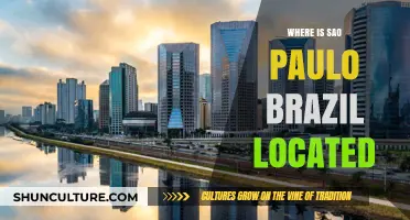 Discovering São Paulo's Exact Location in Brazil: A Geographic Guide