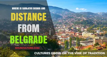 Sarajevo, Bosnia: Location and Distance from Belgrade Revealed