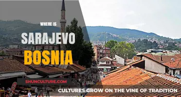 Discovering Sarajevo: Bosnia's Historic Capital and Cultural Gem Location