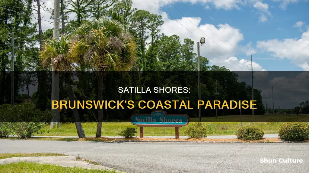 where is satilla shores brunswick ga