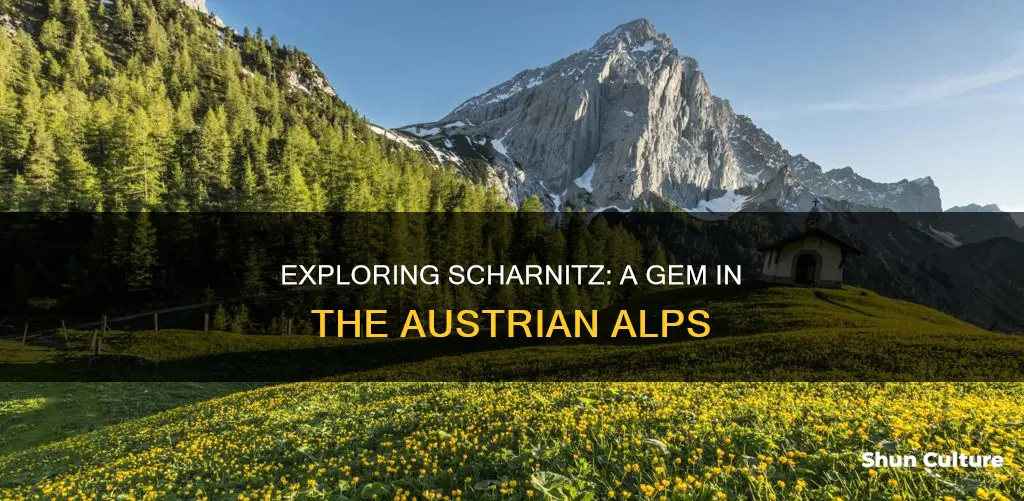 where is scharnitz austria