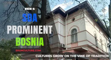 Exploring SDA Influence and Presence in Bosnia and Herzegovina