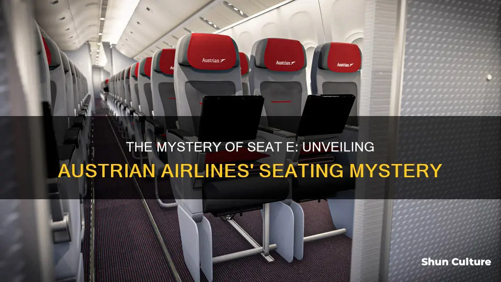 where is seat e on a austrian plane