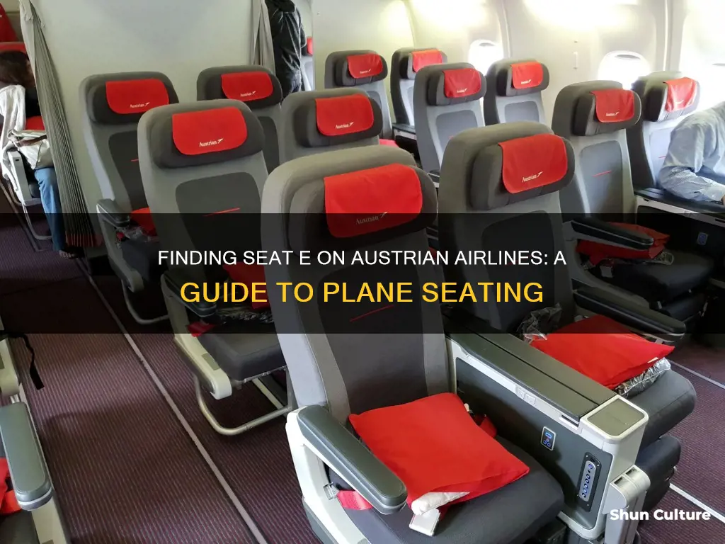 where is seat e on a austrian plane