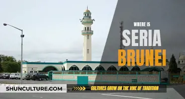 Exploring the Heart of Brunei: Seria's Location