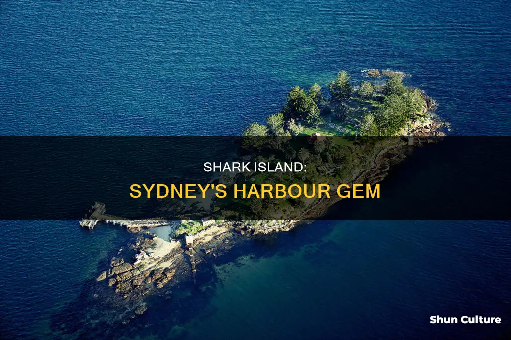 where is shark island in australia