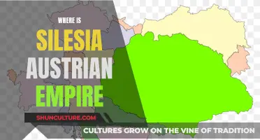 Silesia's Fate: The Austrian Empire's Legacy in Central Europe