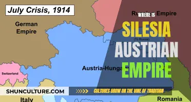 Silesia's Place in the Austrian Empire: A Historical Perspective