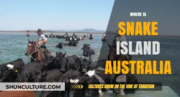 Snake Island: Australia's Reptile Haven