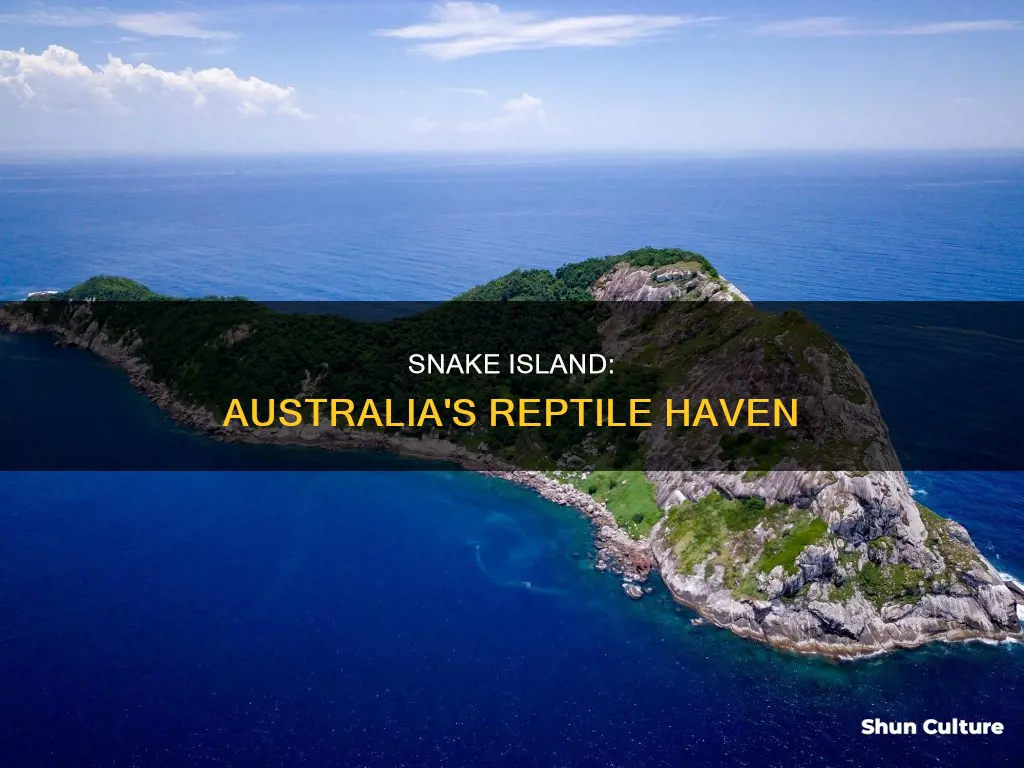 where is snake island australia
