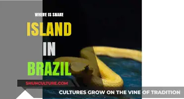Discovering Snake Island: Brazil's Remote and Venomous Wildlife Sanctuary
