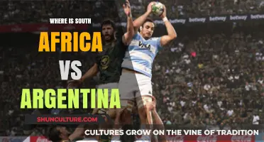 Exploring the Global Face-off: South Africa vs Argentina Insights