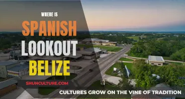 Spanish Lookout: A Belizean Enclave