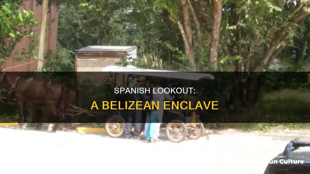 where is spanish lookout belize