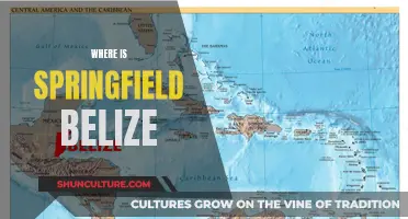 Springfield Belize: A Tropical Paradise Found