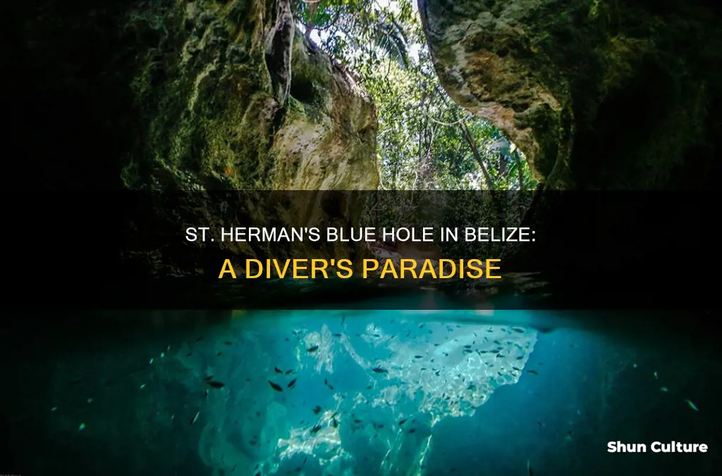 where is st hermans blue hole in belize