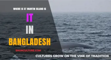 Discovering St. Martin's Island: Bangladesh's Hidden Gem in the Bay of Bengal