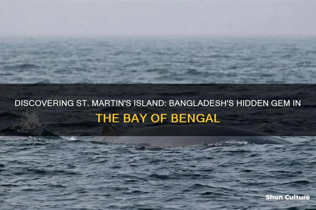 where is st martin island is it in bangladesh