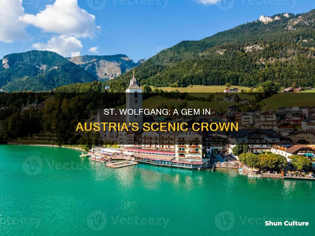 where is st wolfgang in austria