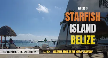 Starfish Island: Belize's Tropical Paradise