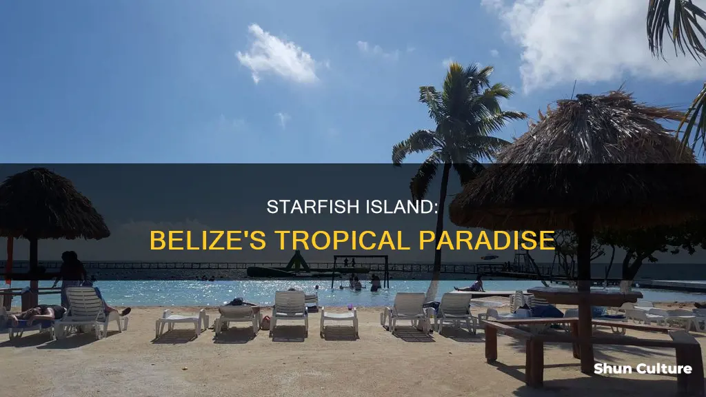 where is starfish island belize