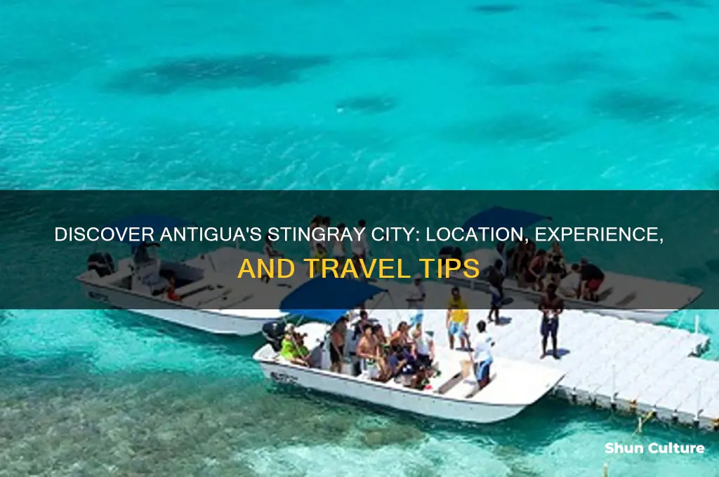 where is stingray city antigua