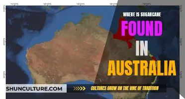 Sugarcane in Australia: Where is it Grown?