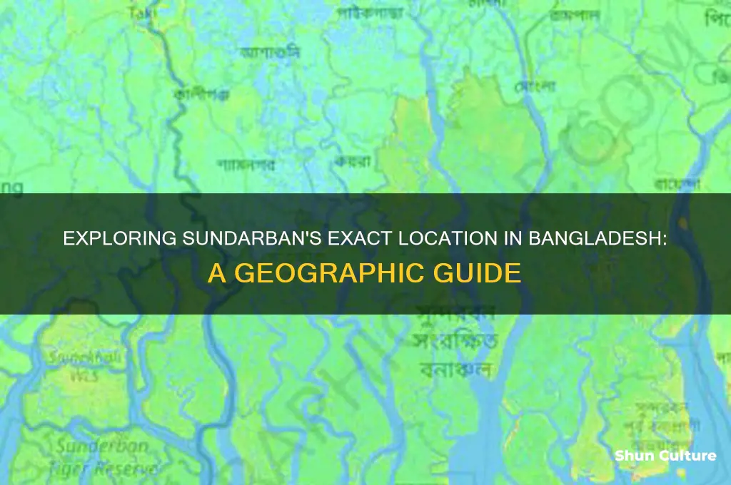 where is sundarban located in bangladesh
