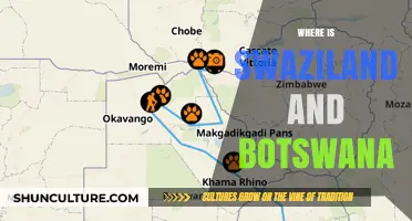 Exploring Southern Africa: Locating Swaziland and Botswana on the Map