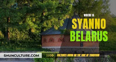 Discovering Syanno's Charm in Belarus