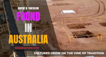 Tantalum Sources in Australia: Exploring Local Deposits and Mines