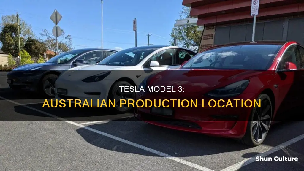 where is tesla model 3 made for australia