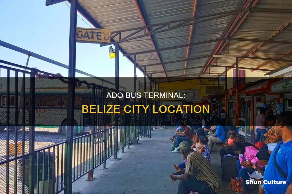 where is the ado bus terminal in belize city