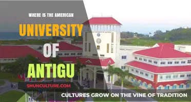 Discovering the American University of Antigua: Location and Campus Insights