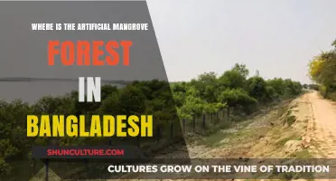 Exploring Bangladesh's Artificial Mangrove Forest: Location and Significance