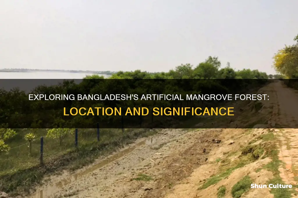 where is the artificial mangrove forest in bangladesh