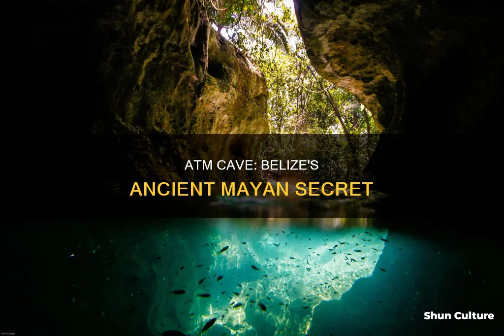 where is the atm cave in belize