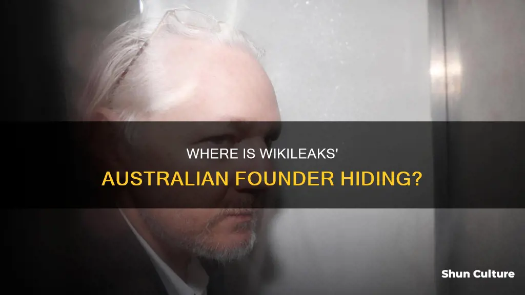 where is the australian founder of wikileaks