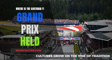 The Austrian F1 Grand Prix: A Trackside Adventure