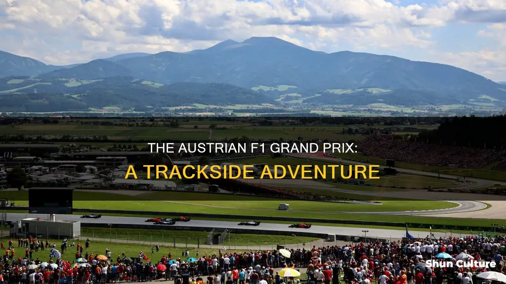 where is the austrian f1 grand prix held