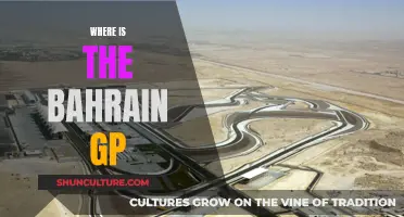 Bahrain GP: A Desert Racing Experience