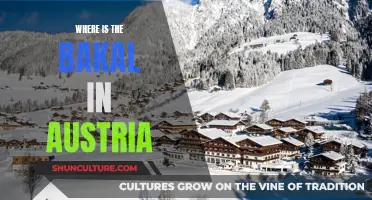 Unveiling the Mystery: Where is the Bakal in Austria?